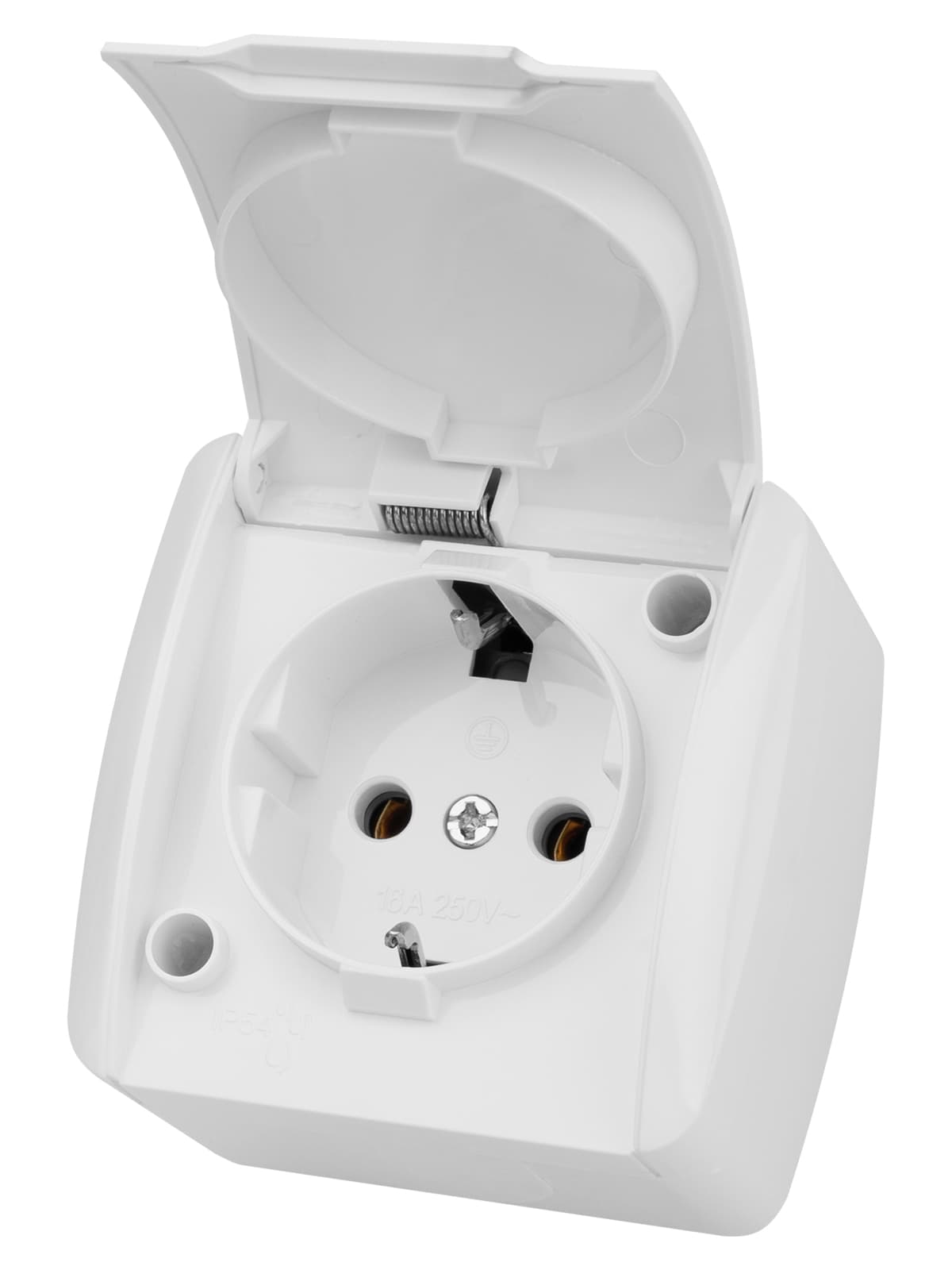 Розетка 2П+З открытой установки IP54 16А с крышкой белая "Селигер" TDM