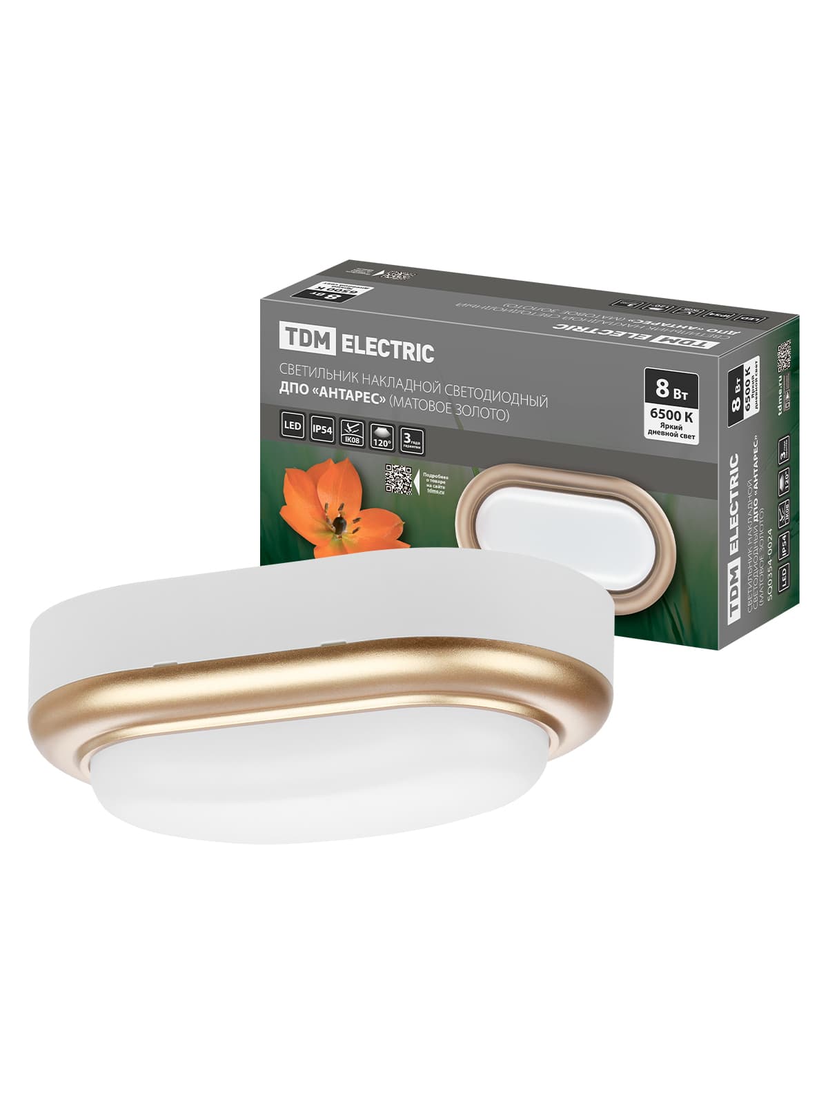 Светильник накладной LED ДПО "Антарес" 8Вт 6500К овал 168*100*58 мм мат.золото IP54 TDM