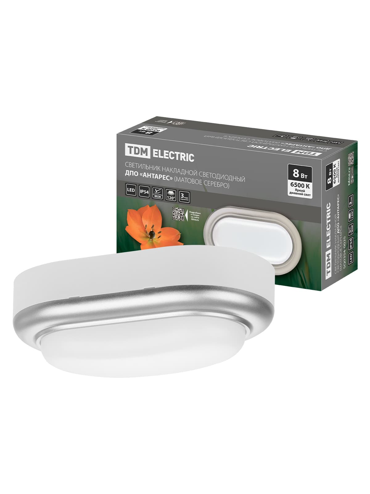 Светильник накладной LED ДПО "Антарес" 8Вт 6500К овал 168*100*58 мм мат.серебро IP54 TDM