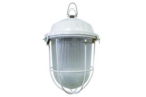 Светильник НСП 02-100-002.01 У2 (с решеткой, стекло, крюк, в сборе, инд.упак) TDM