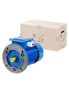 Электродвигатель АИР 100S4 3ф 3 кВт 1500 об/мин 3081 TDM