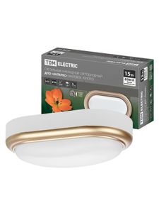 Светильник накладной LED ДПО "Антарес" 15Вт 6500К овал 221*131*68 мм мат.золото IP54 TDM