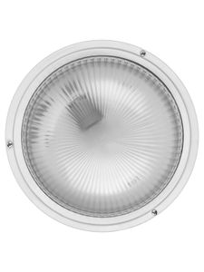 Светильник НПП 03-100-002 (металл, стекло) IP65 TDM