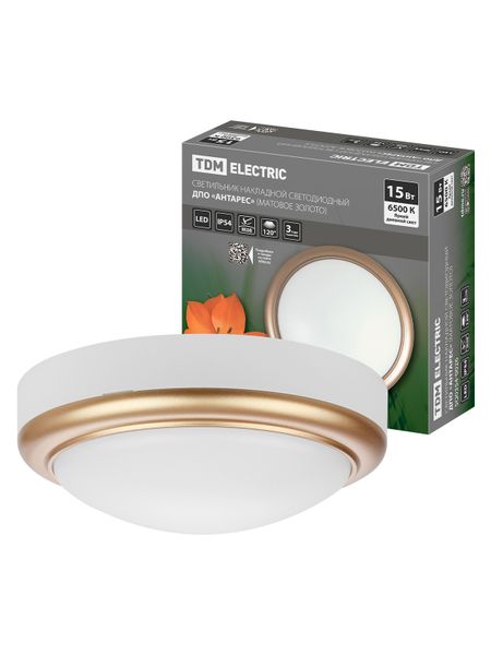 Светильник накладной LED ДПО "Антарес" 15Вт 6500К круг 180*66 мм мат.золото IP54 TDM