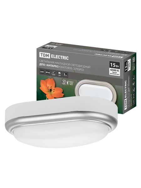 Светильник накладной LED ДПО "Антарес" 15Вт 6500К овал 221*131*68 мм мат.серебро IP54 TDM
