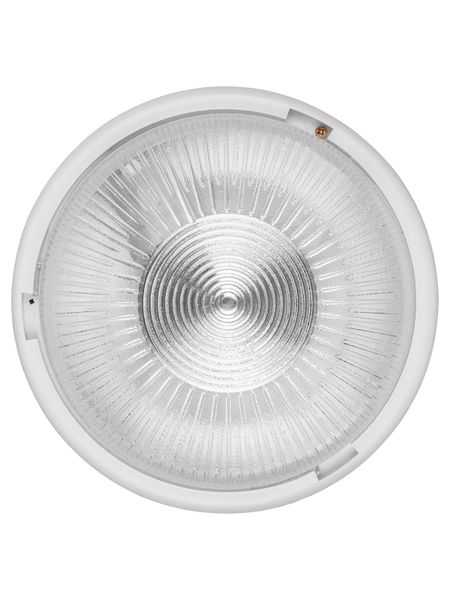 Светильник НПП 03-100-015.01 УХЛ4 "Рондо" TDM